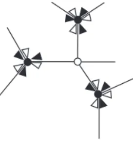 Fig. 1.2. White and black flags.