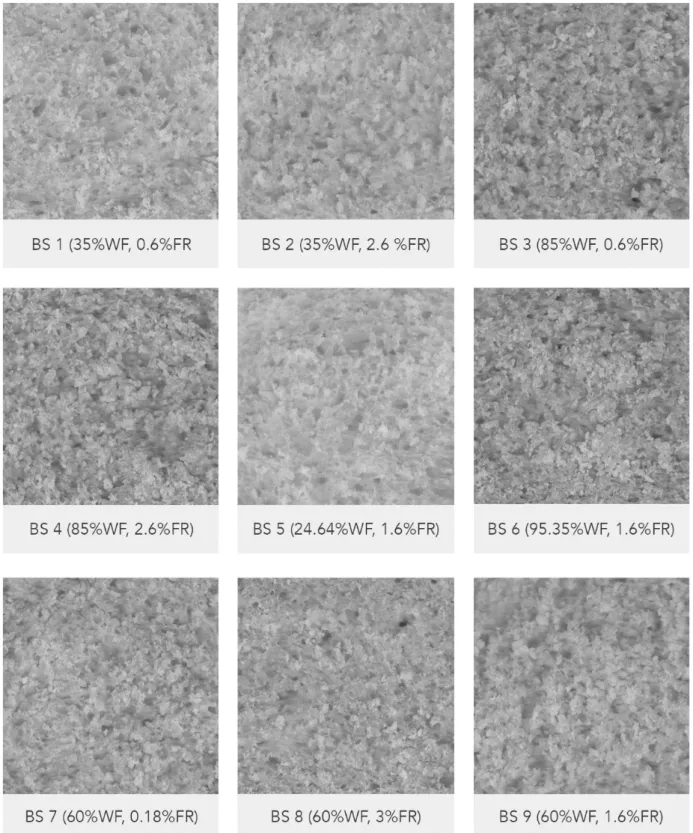 Figure 1. Digital images (40 x 40 mm crumb area) of bread samples. BS: bread sample; WF: whole wheat flour: FR: fat replacer; BS 9 = 9 to 14.