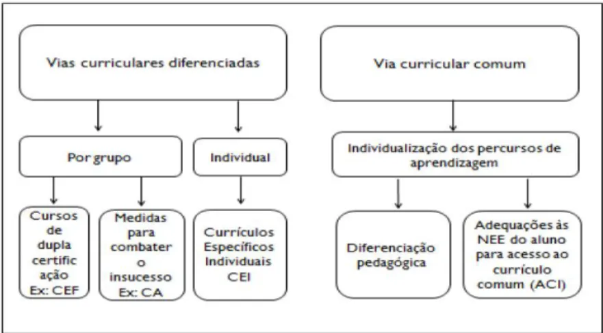 Figura 1- Níveis e formas de diferenciação curricular (Leite, 2013)