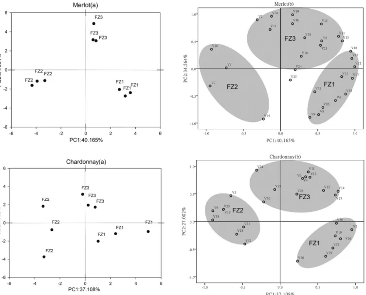 Figure 2. The first 2 principal scatter plots of the wines from the different fruit zones (FZ1: 140-200 cm above the ground; FZ2:80-140 cm; 