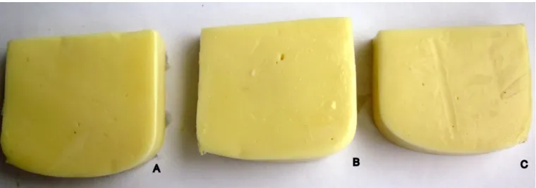 Figure 1. (A) coated kashar cheese with EWPP CVV ; (B) coated kashar cheese with EWPP; (C) uncoated kashar cheese (K) samples.
