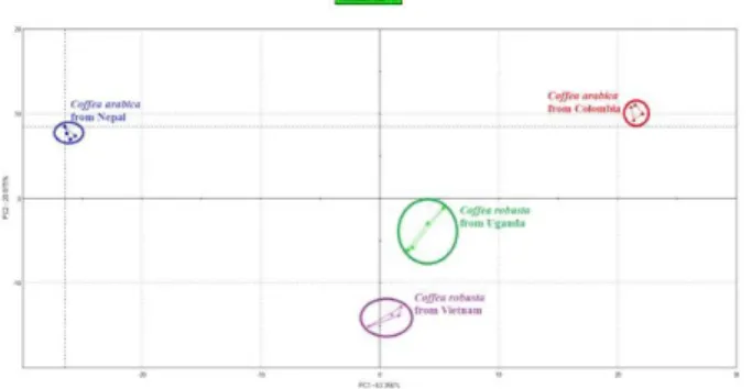Figure 1. Samples of coffee beans unroasted presented on a plane of  two main components.