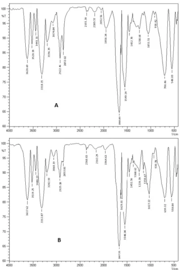 Figure 3. FTIR spectrum of concentrates (A) DRBPC-1 and (B)  DRBPC-2. DRBPC-1: defatted rice bran protein concentrate of DRB-1; 