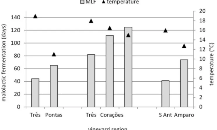 Figure 2. Lengths of MLF (days from running off to the complete  degradation of malic acid) and alcoholic-fermentation temperatures  of Syrah wines from Três Pontas, Três Corações and Santo Antônio do  Amparo in the south of Minas Gerais State, Brazil, tha