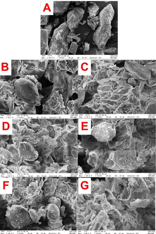 Figure 2. Micrographies of DDT (A) and PHDDT samples at 40  o C/1 MPa (B); 40  o C/7 MPa (C); 70  o C/1 MPa (D); 70  o C/7 MPa (E); 100  o C/1 MPa (F)  and 100  o C/7 MPa (G).