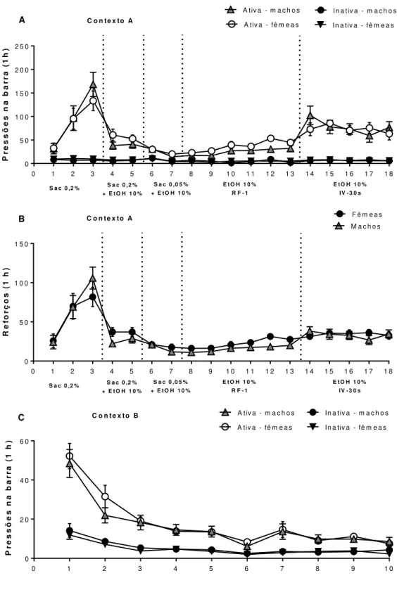 Figura 7. Comparação entre ratos e ratas durante o treino e a extinção da autoadministração  de etanol