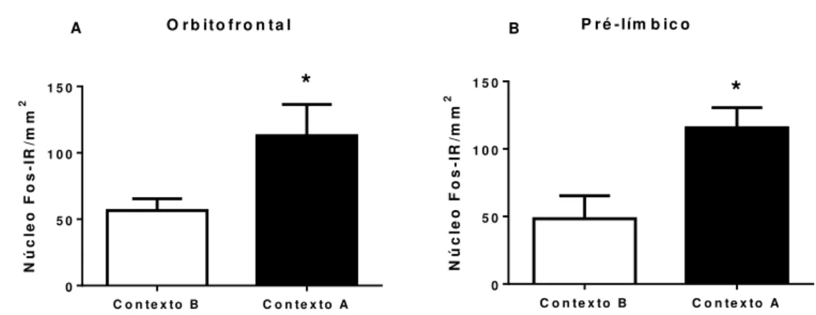 Figura 12. A reinstalação da busca ao etanol induzida pelo contexto foi associada à indução de  Fos  no  córtex  orbitofrontal  e  pré-límbico