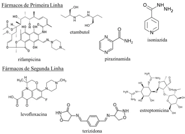FIGURA 1.12 – Fármacos de primeira e segunda linha, utilizados no tratamento  da tuberculose