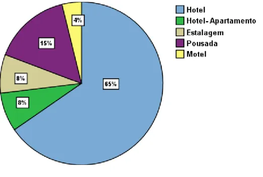 Gráfico 1. Distribuição dos Estabelecimentos Hoteleiros em Estudo segundo a sua Tipologia 