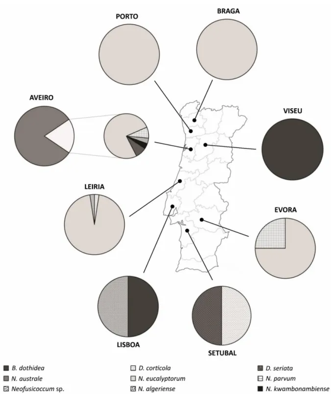 Figure  2.4: Map  of  Portugal  indicating  the  distribution  of  Botryosphaeriaceae  species  within  each sampled region