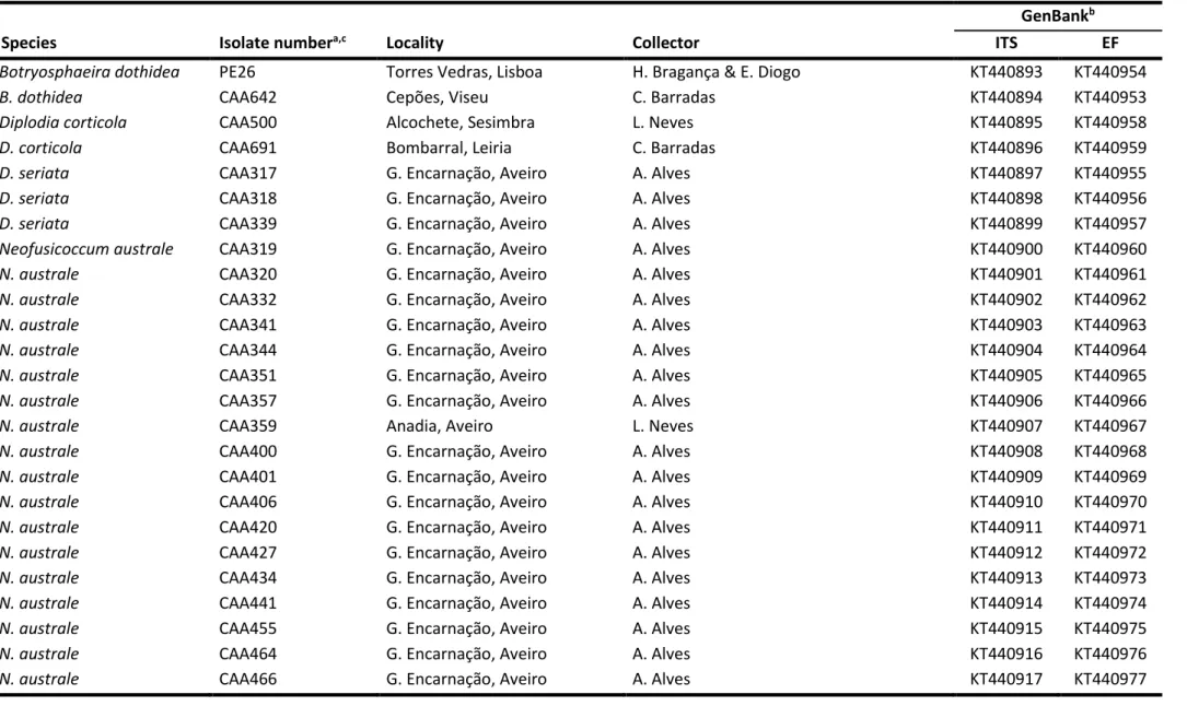 Table 2.2: List of isolates obtained from E. globulus and used in this study. 