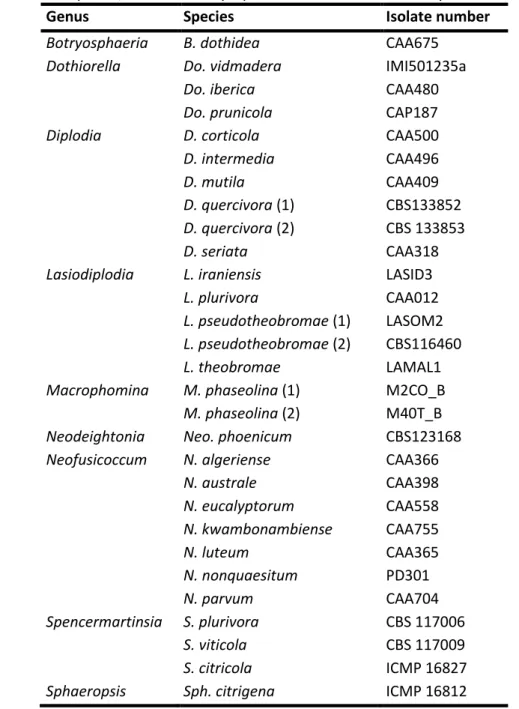 Table 3.1: List of species/strains of Botryosphaeriaceae used in this study. 