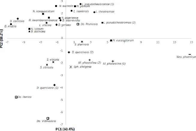 Figure 3.2: Scores scatter plot of the principal component analysis (PC1 vs PC2) of the different  fungal strains analysed in the region between 3000-2800 and 1800 and 980 cm -1 