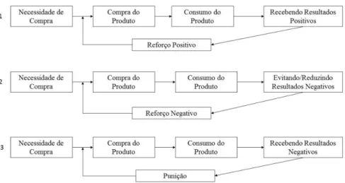 Figura 7- Três tipos de experiência de Consumo 