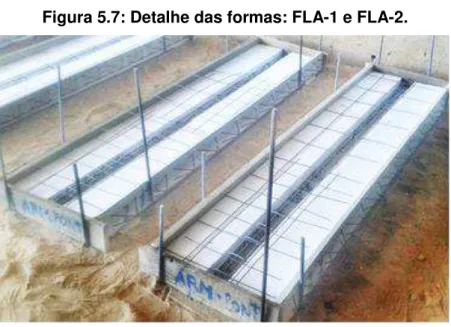 Figura 5.7: Detalhe das formas: FLA-1 e FLA-2. 