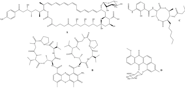 Figura  1-4  -  Antifúngicos  produzidos  por  Pseudonocardia  a)  candicina  D,  b)  actinomycina D, c) antimycina A1 e d) pseudo-nocardona B 