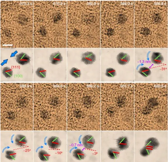 Figure 2.16 - Imaging of oriented attachment at atomic level of gold  nanoparticles. Scale bar 2 nm [59]