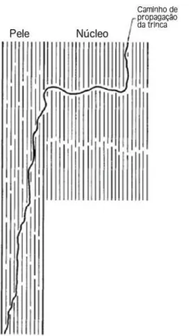 Figura  3.9  -­  Modelo  de  fratura  por  tração  da  fibra  de  poli(para-­aramida)