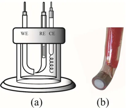 FIGURA 5  –  (a) Esquema da célula eletrolítica e (b) eletrodo de aço 1010 tipo 