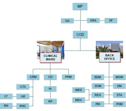 Figure 6 - Blueclinical Phase I Organogram  32 . 
