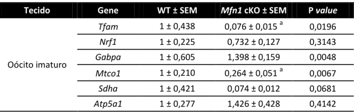 Tabela 5: Níveis relativos de transcritos relacionados à função mitocondrial   Tecido  Gene  WT ± SEM  Mfn1 cKO ± SEM  P value 