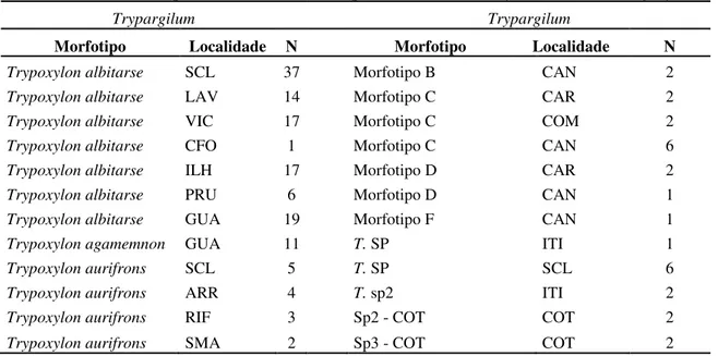 Tabela 6: Morfotipos do gênero Trypoxylon utilizados para extração de DNA obtidos em coletas ou por doação  de  grupos  de  pesquisa  parceiros  do  LGEH