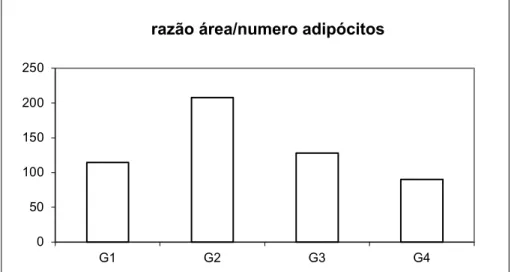 Figura 3. Razão entre a área média de adipócitos e o número de adipócitos por campo  microscópico