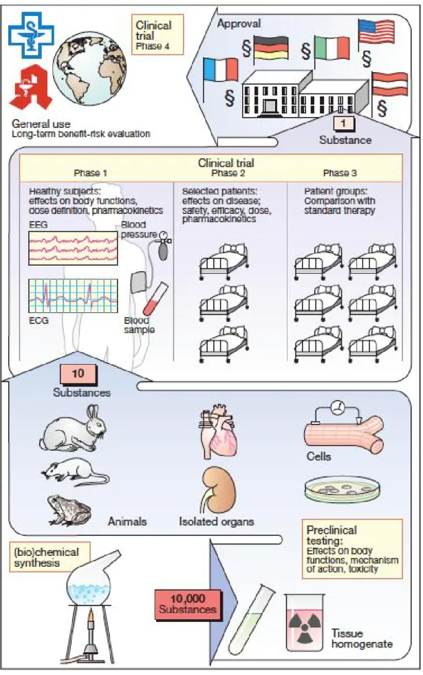 Figure 1 - From drug synthesis to approval.