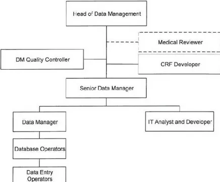 Figure 4 - Data Management Department Organogram.