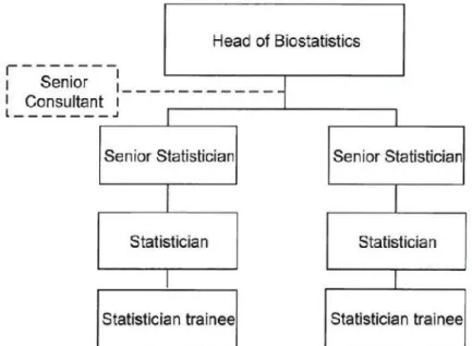 Figure 6 - Biostatistics Department Organogram.