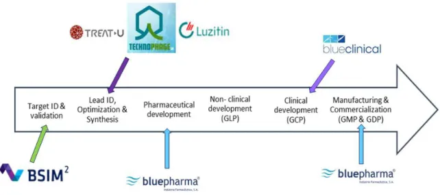 Figure 2 - Bluepharma’s Subsidiaries and Value chain. Adapted (7) 