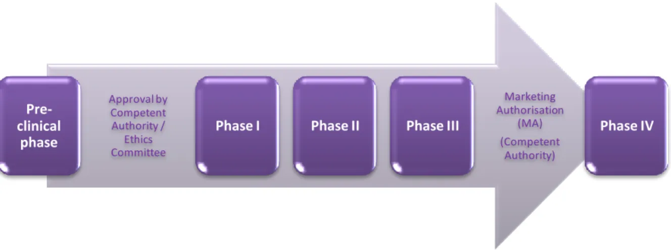 Figure 4. Clinical Trials’ phases in the development of new medicines (adapted from (10))