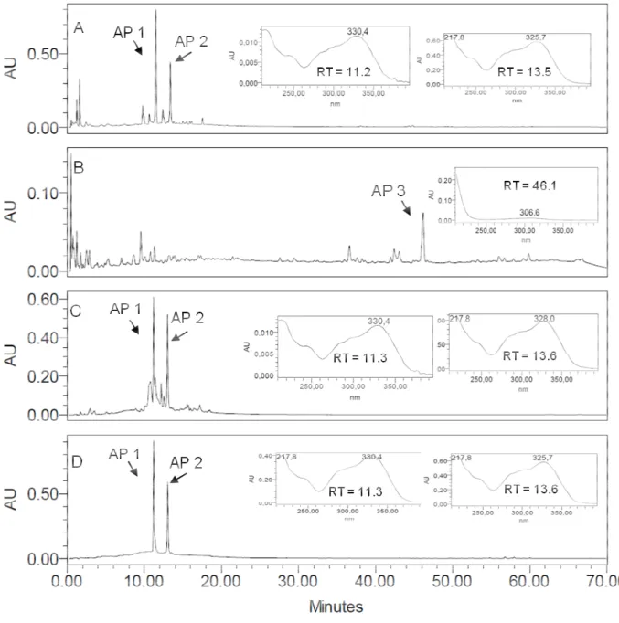 Figure 2. RP-HPLC-DAD fingerprints for the crude ethanol extract from Arrabidaea pulchra  leaves (EEAPL) (A), APDL with AP 3 (RT = 46.1 min UV spectrum registered online  detection 220 nm (B), APEF with UV spectra registered online for peaks corresponding 