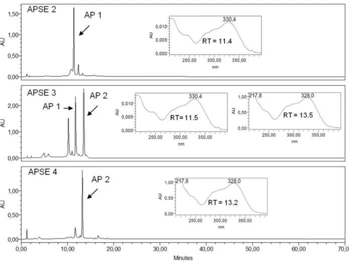 Figure 3. RP-HPLC-DAD profile of Sephadex LH 20 fractions APSE 2, APSE 3, APSE 4  with UV spectra registered online for peaks corresponding to AP 1 and to AP 2