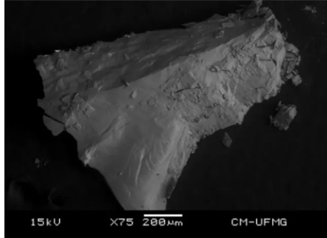 Fig. 1. Backscattered electron image (BSI) of a coquimbite crystal aggregate up to 0.5 mm in length.