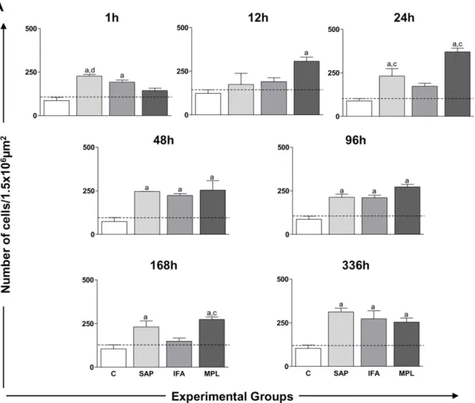 Figure 1. Quantification of the cellular infiltrate in the skin of mice after sensitization with different vaccine adjuvants: saponin (SAP; light gray), incomplete Freund’s adjuvant (IFA; medium gray), and monophosphoryl lipid A (MPL; dark gray) at 1, 12, 