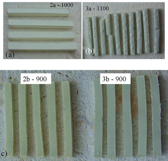 Fig. 4.6 Photographs of glass powder compacts of composition (a) 2a heat treated at 1000 