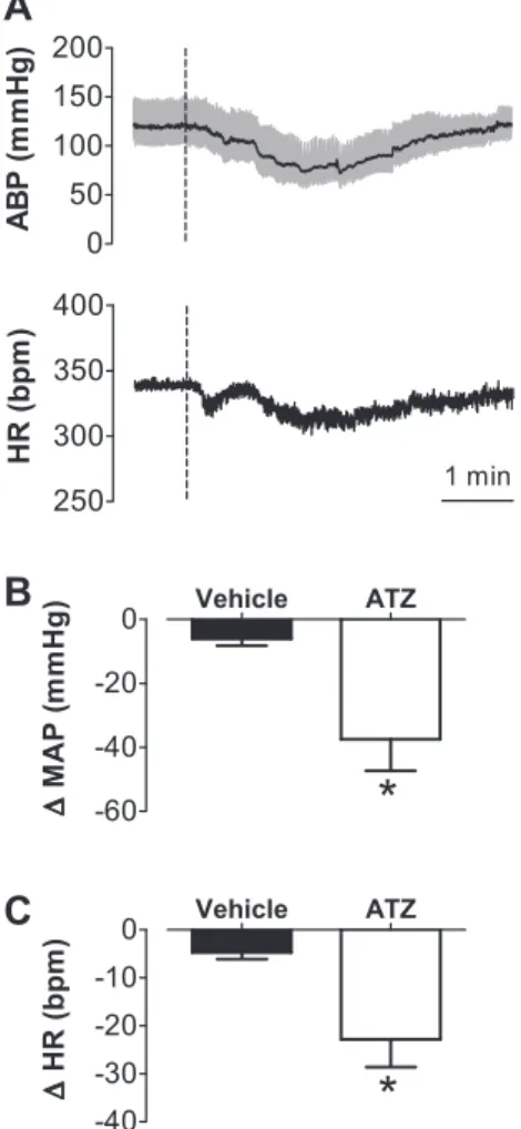 Fig. 2. Changes in arterial blood pressure and heart rate produced by 3-amino- 3-amino-1,2,4-triazole (ATZ) injected into the intermediate NTS of anesthetized rats.