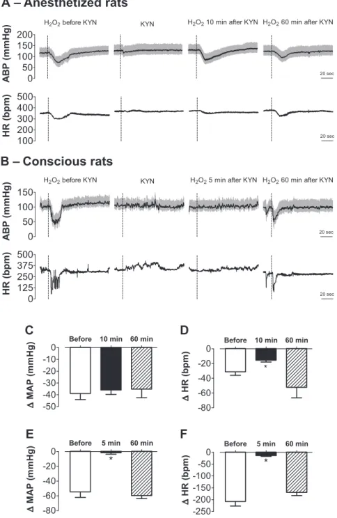 Fig. 3. Changes in arterial blood pressure and heart rate produced by H 2 O 2 alone or combined with kynurenate injected into the intermediate NTS