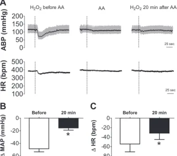 Fig. 4. Changes in arterial blood pressure and heart rate produced by H 2 O 2