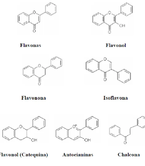 Figura 2 – Estruturas químicas das principais classes dos flavonoides (Carpes, 2008). 