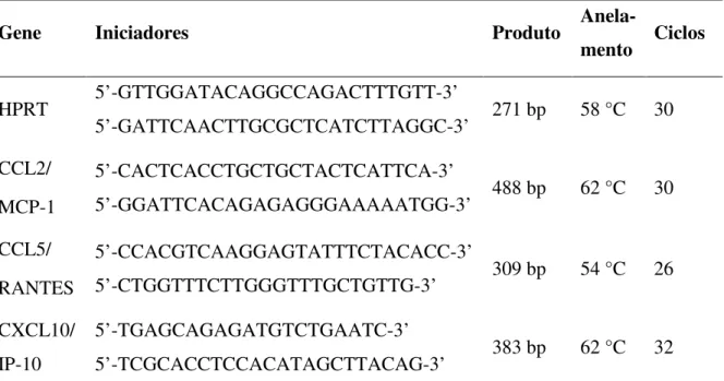 Tabela  1:  Seqüência  dos  iniciadores  e  condições  de  amplificação  para  os  genes  avaliados por RT-PCR