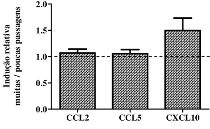 Figura 8: Expressão relativa do mRNA para quimiocinas em pM  infectados com L. amazonensis  mantida em cultura por poucas ou muitas passagens