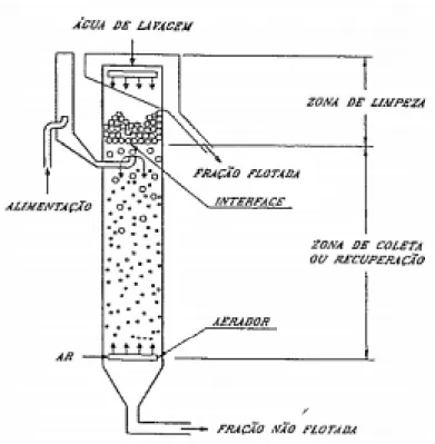 Figura 5.2 – Coluna de flotação. 