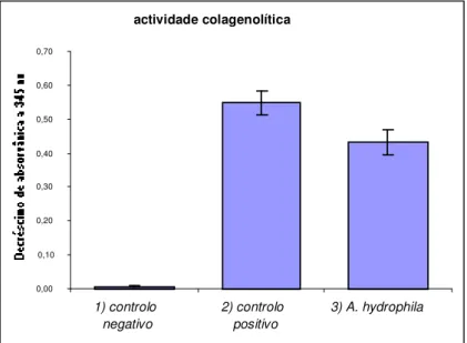 Figura  4  -  Determinação  da  actividade colagenolítica em A. hydrophila  CECT  839 T  com  utilização  de  do  péptido  específico  FALGPA