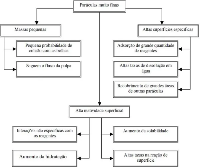 Figura 8. Possíveis efeitos das partículas ultrafinas na flotação (OLIVEIRA, 2006) 