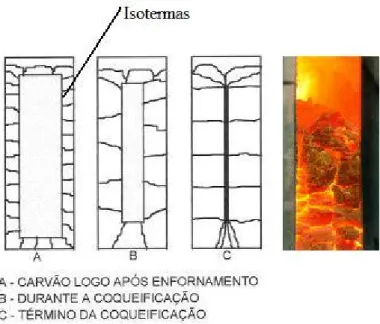 Figura 3.3.5.3. Isotermas de coqueificação [14] , com foto de um forno coqueificado à direita