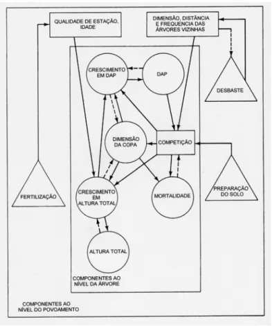 FIGURA 2.2. Relações entre as componentes da árvore e do povoamento (Avery &amp; Burkhart, 1983) 