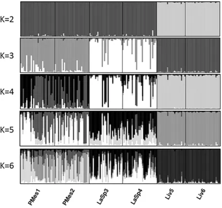 Fig.  2.3.  Clustering  analysis.  Population  structure  revealed  by  the  first  run  of  clustering  analyses  in  STRUCTURE