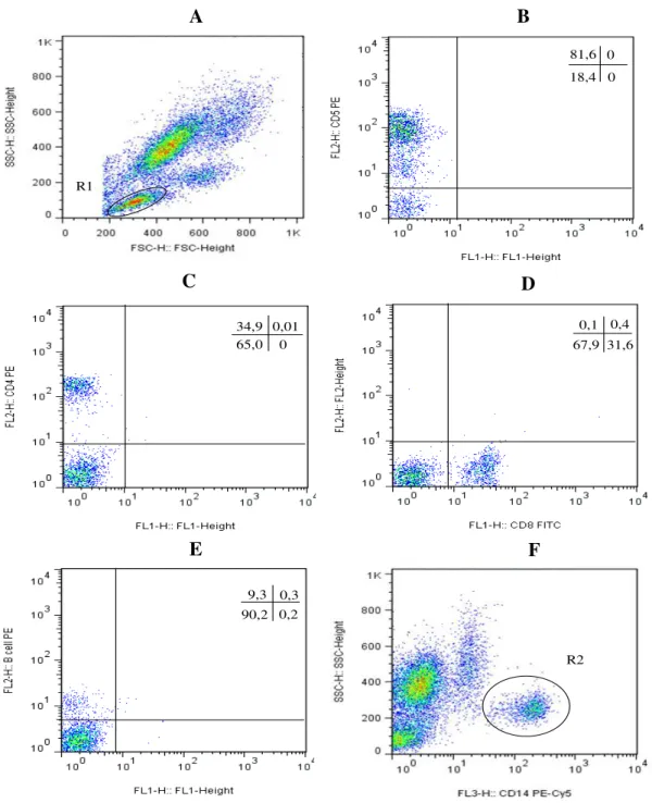 Figura 3: Representação esquemática da sequência de eventos da análise de dados obtidos por citometria de  fluxo do perfil celular de amostras de sangue periférico